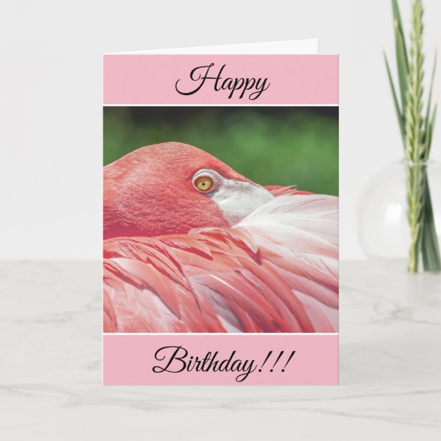 Personalised Happy Birthday Flamingo Card (Front)