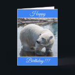 Personalised Happy Birthday Polar Bear Card<br><div class="desc">Personalised Happy Birthday Polar Bear Card</div>