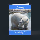 Personalised Happy Birthday Polar Bear Card<br><div class="desc">Personalised Happy Birthday Polar Bear Card</div>