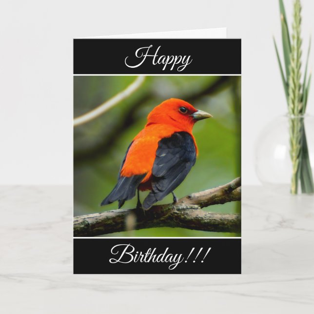 Personalised Happy Birthday Scarlet Tanager Card (Front)