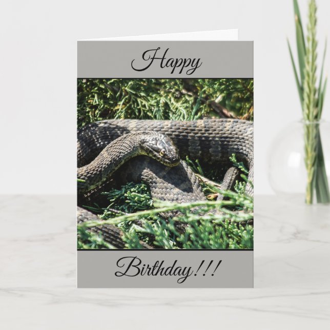 Personalised Happy Birthday Snake Card (Front)