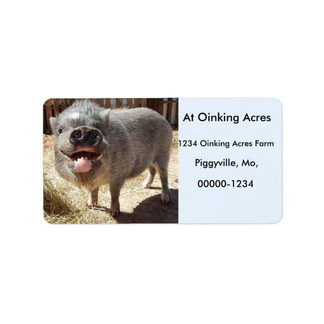 Personalised Happy Smiling Mini Pig Address Labels (Front)