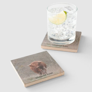 Personalised Highland Cow coaster