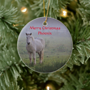 Personalised Horse friend Christmas ornament