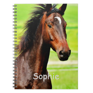 Personalised Horse & Name   Notebook