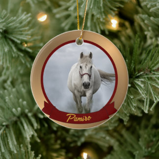 Personalised Horse Pet Ornament Photo Name Year