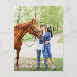 Personalised Horse Photo Pet Wedding Save The Date Announcement Postcard