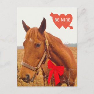 Personalised Horse Valentine with Bow Postcard
