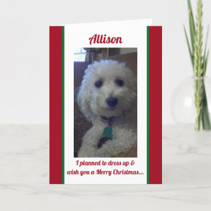 Personalised humour Christmas card
