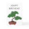 Personalised Japanese Bonsai Tree