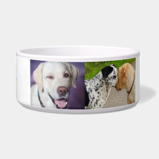 "Personalised Labrador & Dalmatian Dog Bowl 