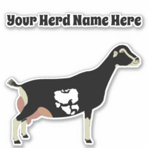 Personalised LaMancha Dairy Goat