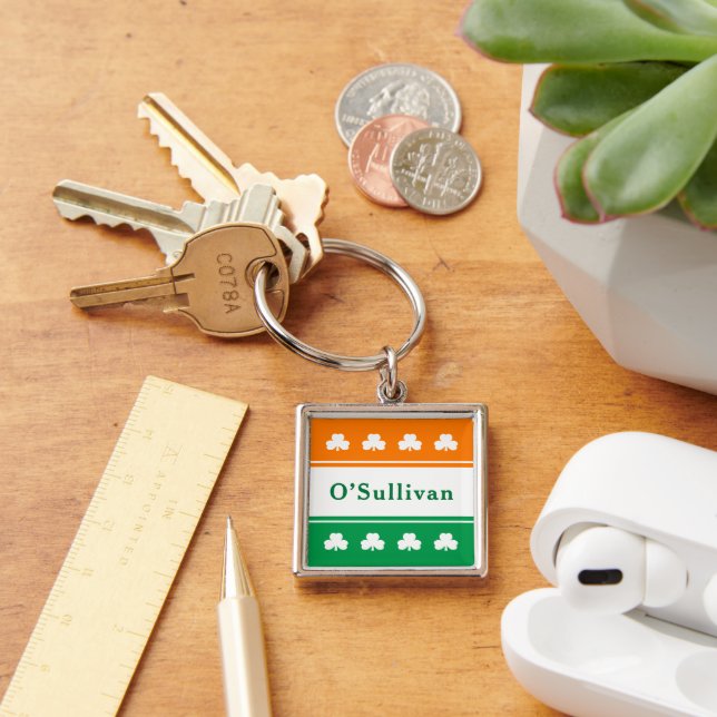 Personalised Last Name Ireland Flag Colours Key Ring (Desk)