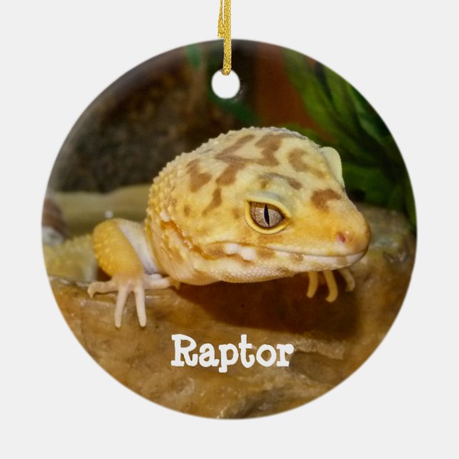 Personalised Leopard Gecko Lizard Ceramic Tree Decoration (Back)