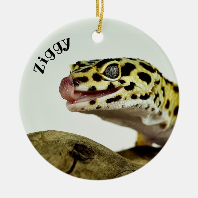 Personalised Leopard Gecko Lizard Ceramic Tree Decoration (Front)
