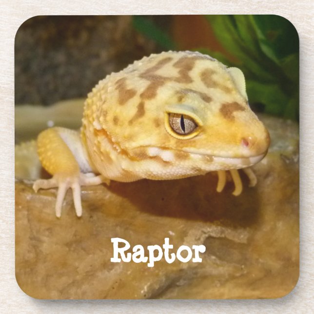 Personalised Leopard Gecko Lizard Coaster (Front)