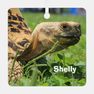 Personalised Leopard Tortoise in the grass Metal Tree Decoration