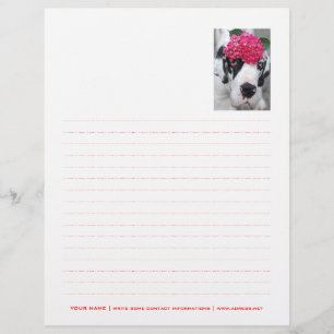 Personalised Letterhead Dotted