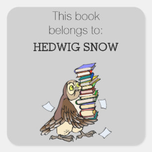 Personalised Library Cute Owl Bookplate Square Sticker
