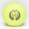 Personalised Logo Custom Penn Tennis Balls