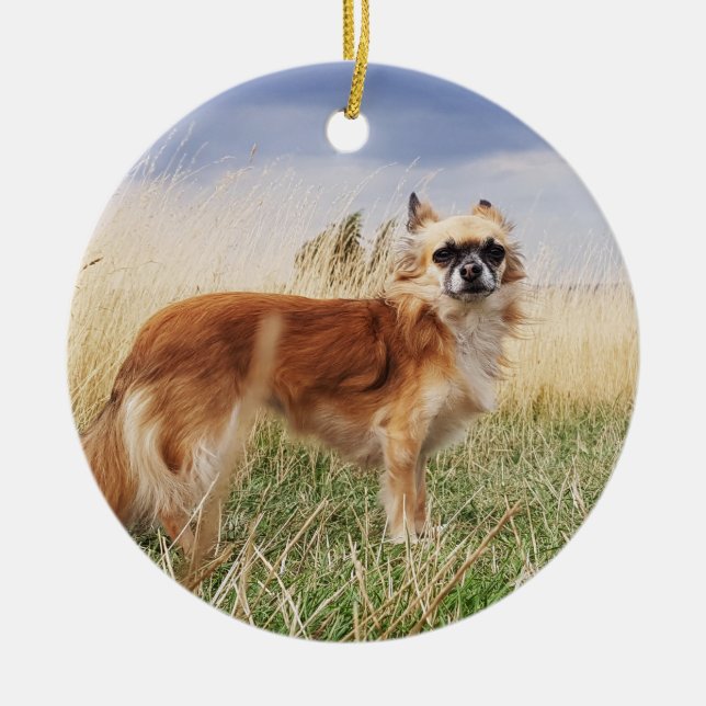 Personalised long haired chihuahua ceramic tree decoration (Front)