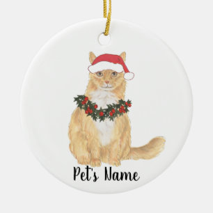 Personalised Maine Coon (Orange) Cat Ceramic Tree Decoration