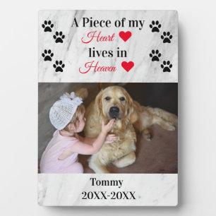 Personalised Marble Pet Memorial Photo Keepsake Plaque