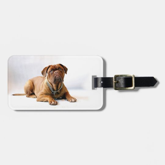 Personalised Mastiff / Dog Photo Luggage Tag