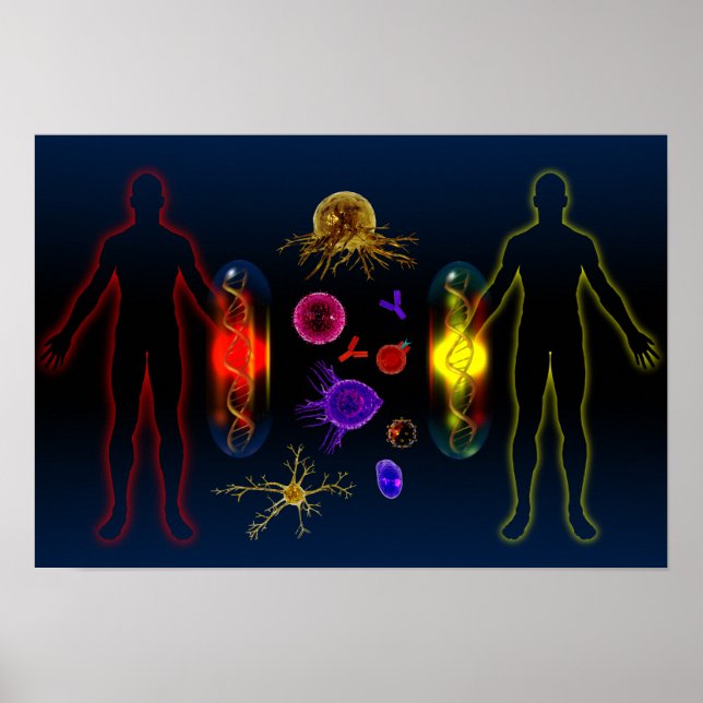 Personalised medication poster (Front)