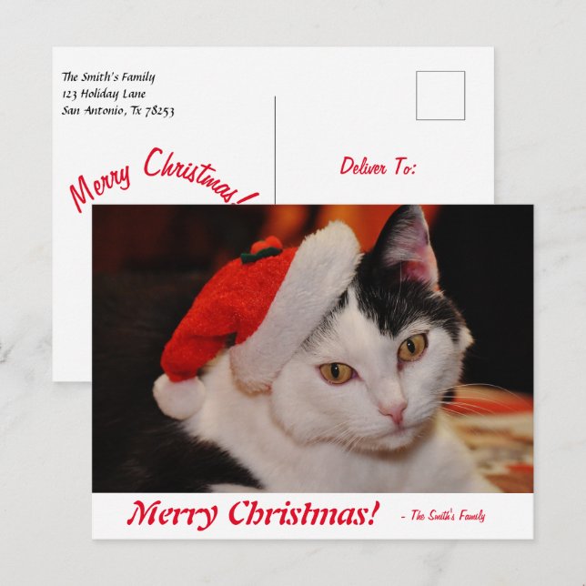 Personalised Merry Christmas Black and White Cat Postcard (Front/Back)