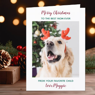 Personalised Merry Christmas Dog Mum Pet Photo Holiday Card