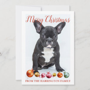 Personalised Merry Christmas French Bulldog Puppy Holiday Card