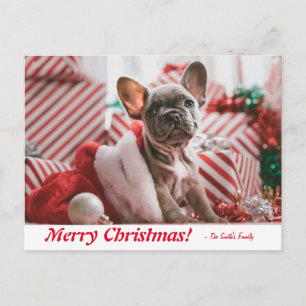 Personalised Merry Christmas French Bulldog Puppy Postcard
