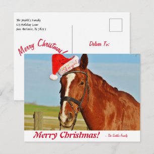 Personalised Merry Christmas Horse in a Santa Hat Postcard