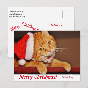 Personalised Merry Christmas Orange Tabby Cat Post Postcard