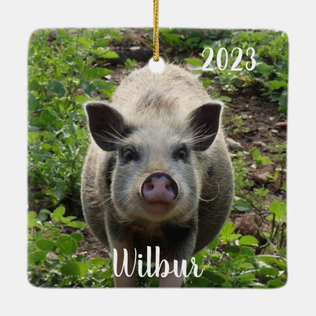 Personalised Mini Juliana Pet Pig  #2 Ceramic Ornament (Back)