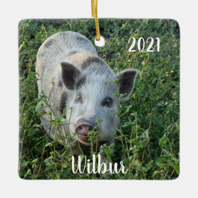 Personalised Mini Juliana Pet Pig  Ceramic Ornament (Front)