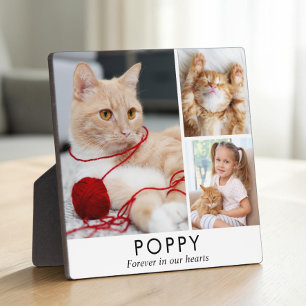 Personalised Minimalist Cat Memorial Photo Plaque