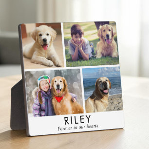 Personalised Minimalist Dog Memorial Photo Plaque