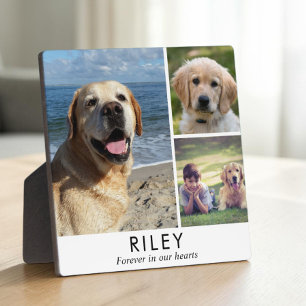 Personalised Minimalist Dog Memorial Photo Plaque