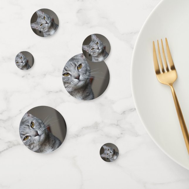 Personalised Modern Cat Photo Confetti (Group)