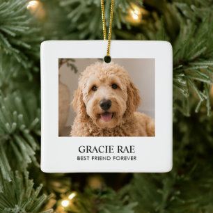 Personalised Modern Simple Pet Photo Ceramic Ornament