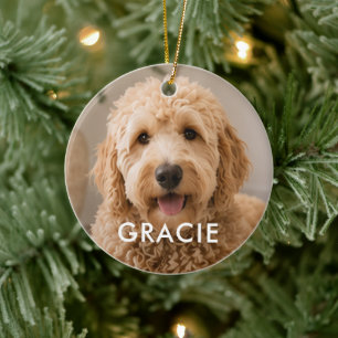 Personalised Modern Simple Pet Photo Ceramic Tree Decoration