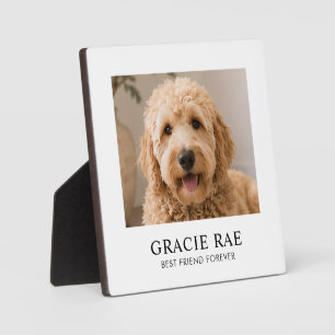 Personalised Modern Simple Pet Photo Plaque