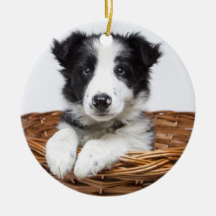 Personalised Monogram & Pet Photo Christmas Ceramic Tree Decoration