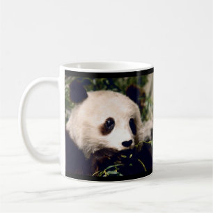 Personalised Mug Sweet PANDA MUNCHING ON BAMBOO