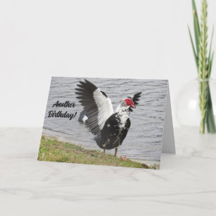Personalised Muscovy Duck Another Birthday! Card
