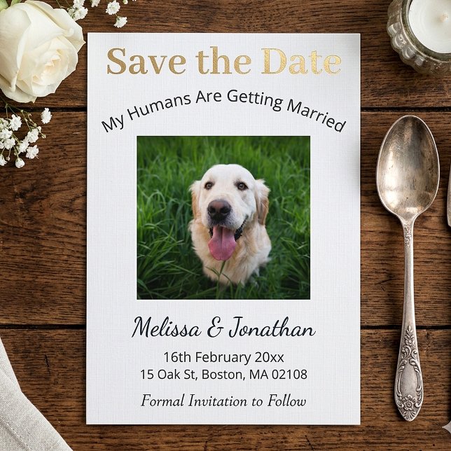 Personalised My Humans Are Getting Married Save The Date (Creator Uploaded)