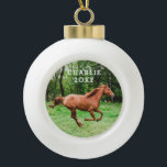 Personalised Name and Year Horse Photo Ceramic Ball Christmas Ornament<br><div class="desc">Ornament with a photo and name of your own horse with dated yaer. Make your own horse photo ornament quickly and easily - lots of ornament types available in the Paper Grape Zazzle Store Pet Ornament Collection!</div>