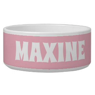 Personalised Name Blueish Teal  and White Dog Bowl